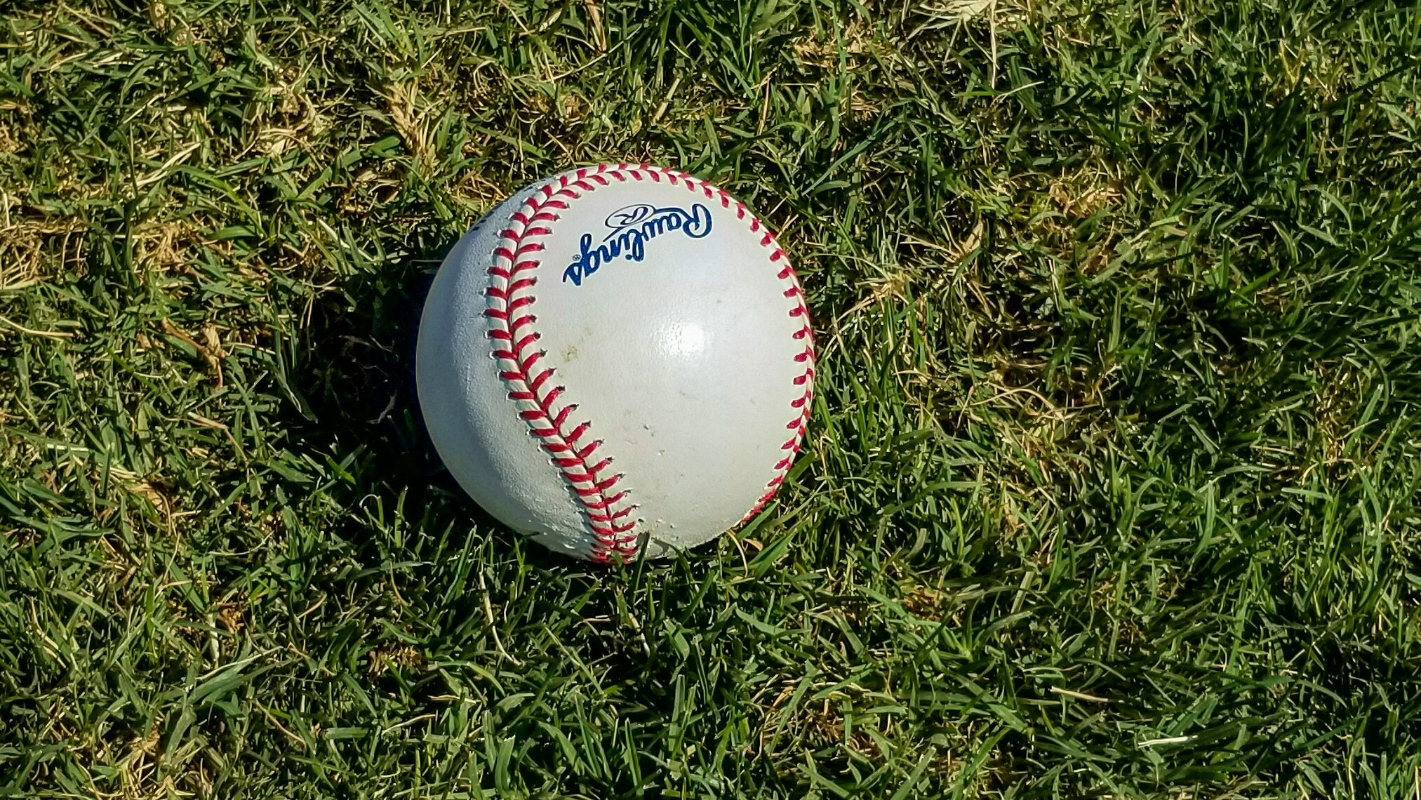 パフォーマー画像