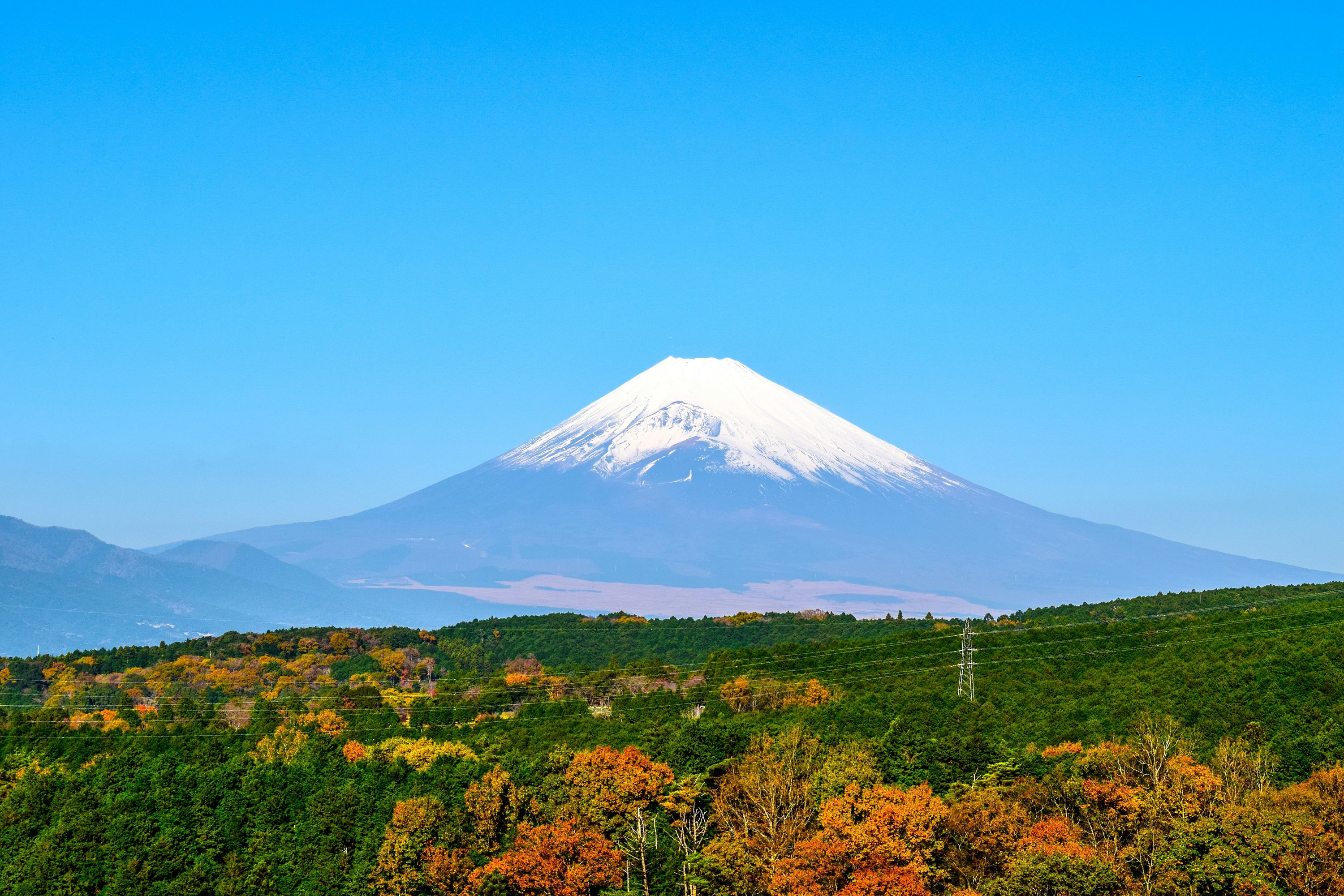 都道府県画像