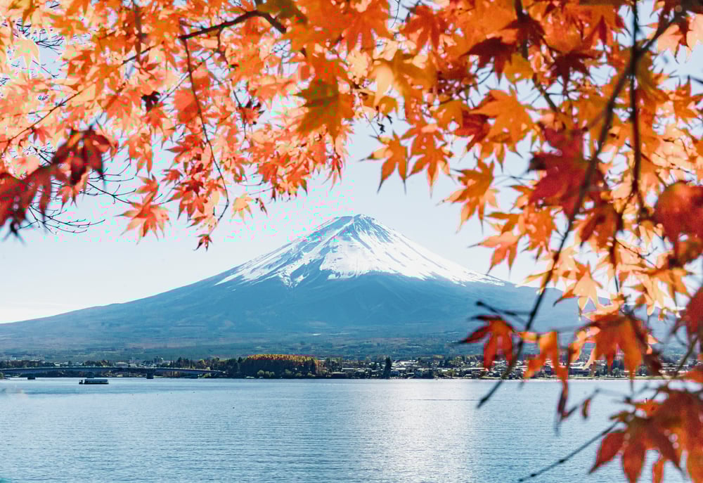 都道府県画像