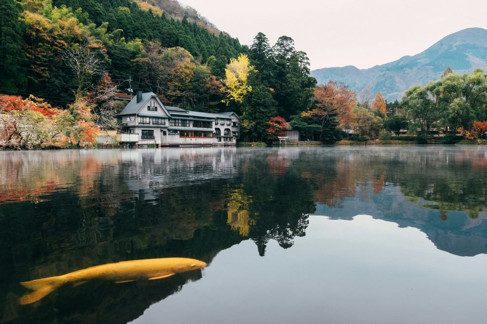 都道府県画像