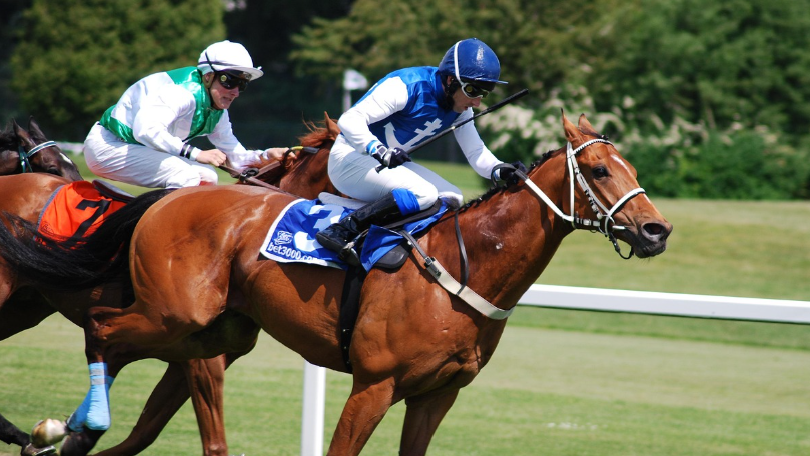 パフォーマー画像