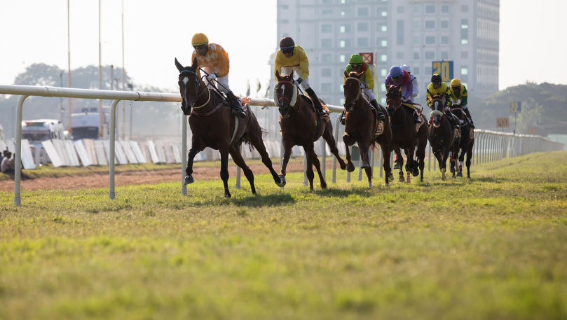 パフォーマー画像