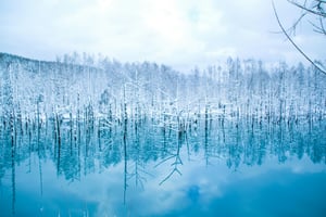 北海道の画像