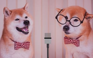 お笑いライブの画像