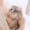 ユーザーのアイコン