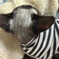 ユーザーのアイコン