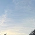 ユーザーのアイコン