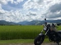 ユーザーのアイコン