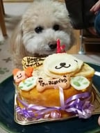 ユーザーのアイコン