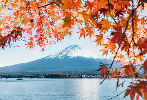 都道府県画像