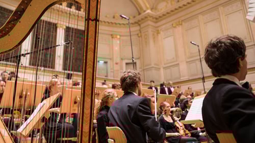 パフォーマー画像