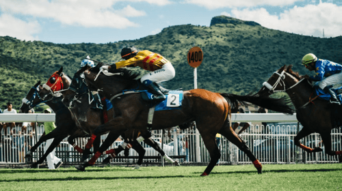 パフォーマー画像