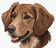 ユーザーのアイコン