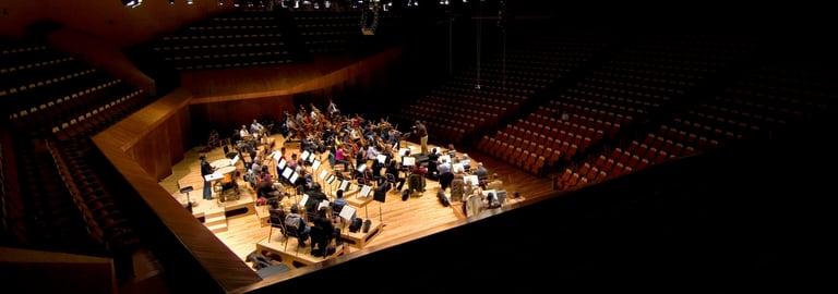 パフォーマー画像