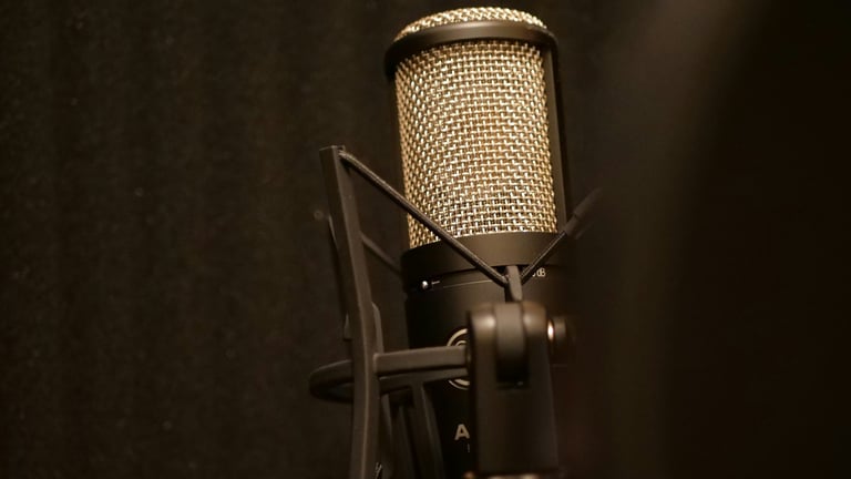 パフォーマー画像