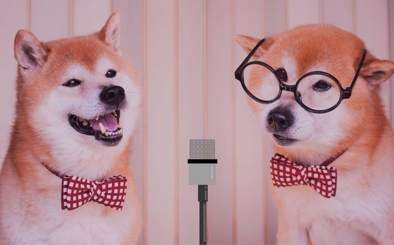 パフォーマー画像