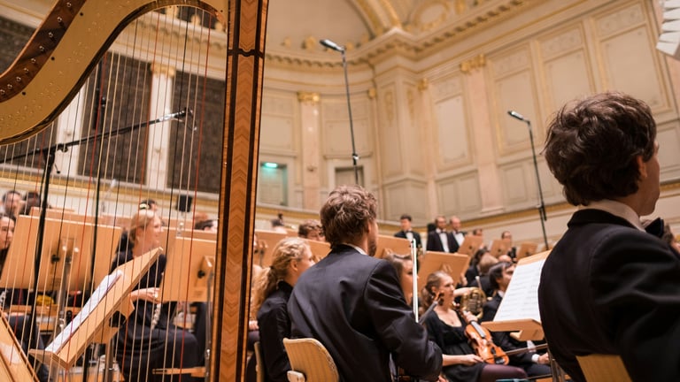 パフォーマー画像