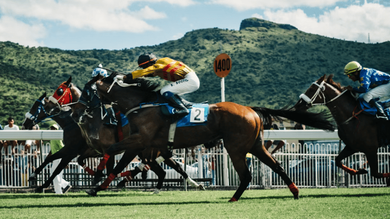 パフォーマー画像