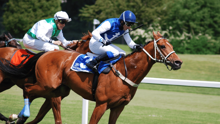 パフォーマー画像