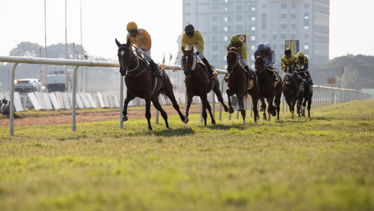 パフォーマー画像