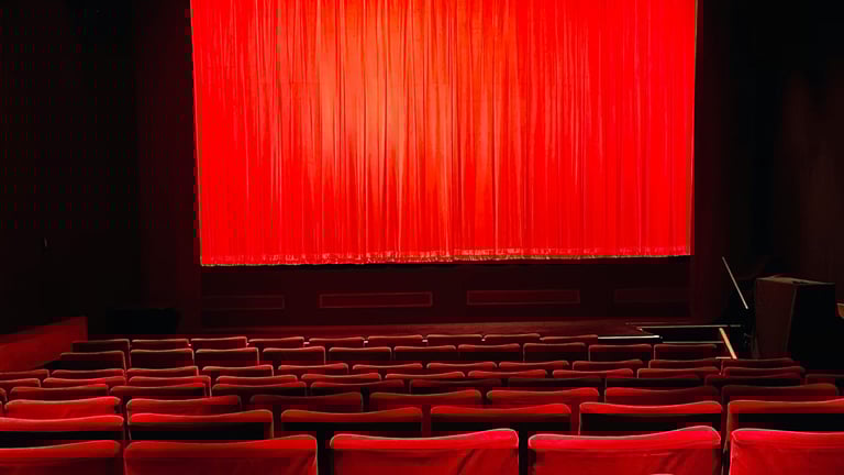 パフォーマー画像